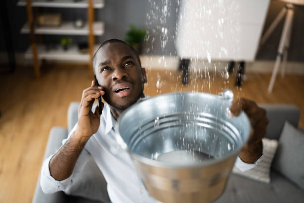 Best Sewage cleanup and water damage restoration  in Winnsboro, TX
