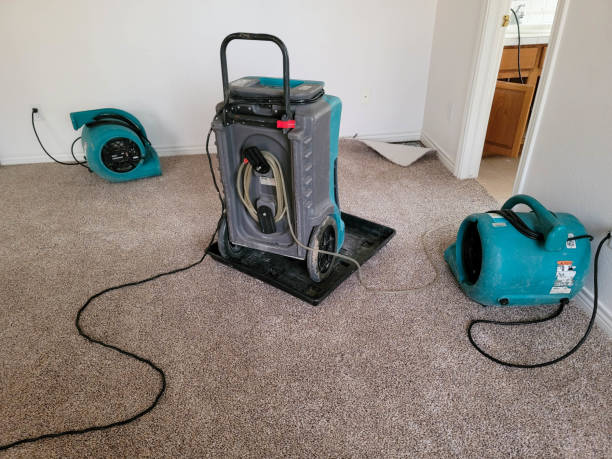 Best Flood restoration services  in Winnsboro, TX