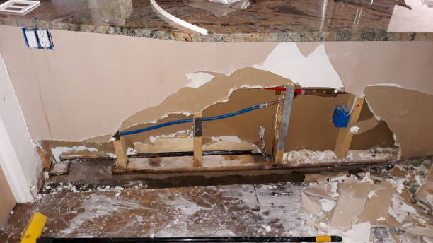 Best Water damage restoration experts  in Winnsboro, TX