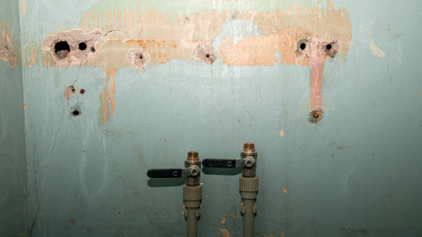 Best Flood damage cleanup  in Winnsboro, TX