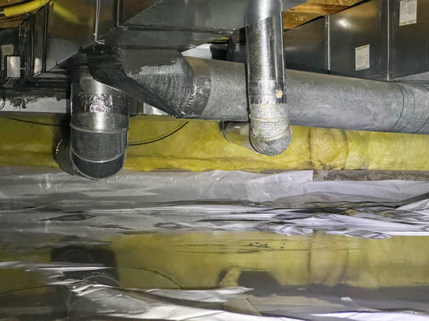 Best Flooded house restoration  in Winnsboro, TX