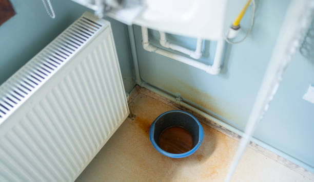 Best Water damage restoration mold remediation  in Winnsboro, TX
